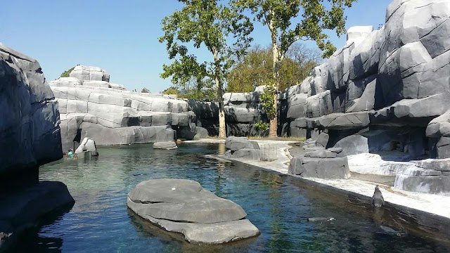 Parc Zoologique de Paris