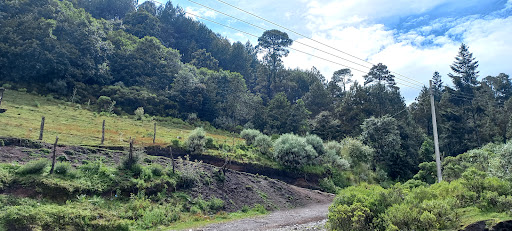 RANCHO VIEJO LA PERLA VER - Thumbnail