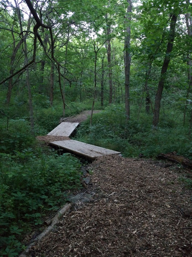 Lake Winnebago Park - United States