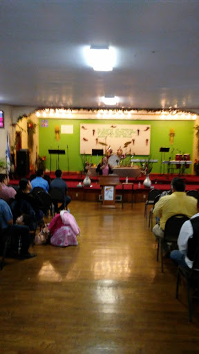 Alpha Y Omega Covenant Church - Thumbnail