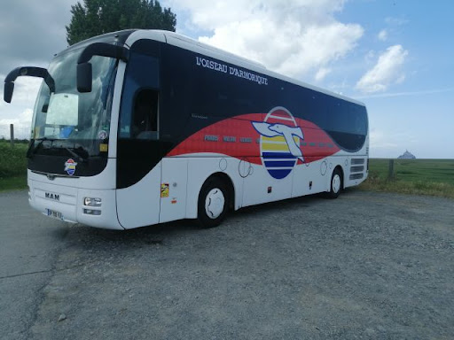 Bus et Cars Rougé - Thumbnail