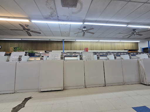 nelson st laundry - Visual