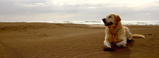 Foto de Southside Animal Hospital