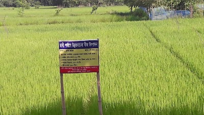 Photos of Chalna College চালনা কলেজ