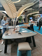 Le Merle à Rountzenheim-Auenheim