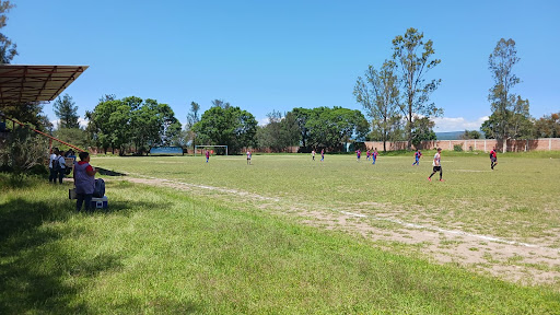 Campo Deportivo De El Acebuche - Thumbnail