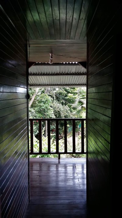 Photos of Hostel Pura Vida Montezuma