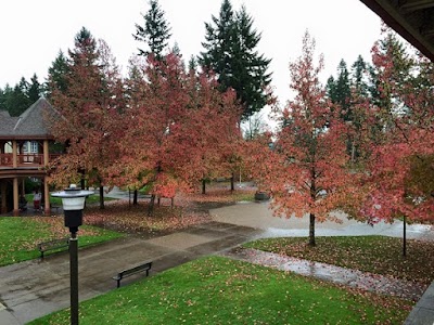 Photos of North Island College