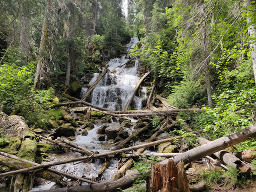 Martin Falls