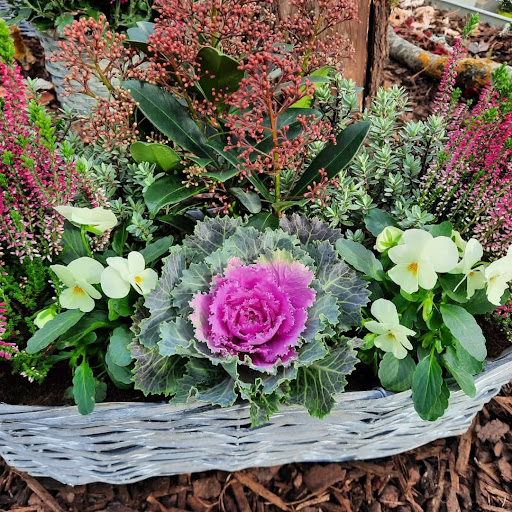 La Voivrotte Horticulture - Thumbnail