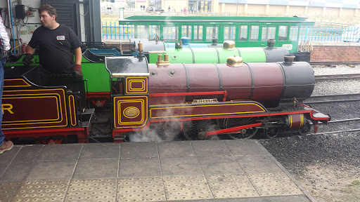Train Rides - Visual