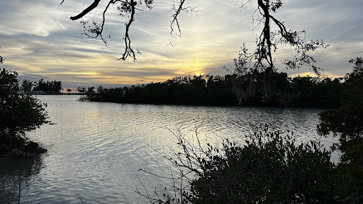 Lyons Bay Park - Visual