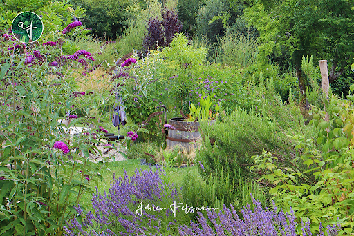 Photo de L'Eden Occitan - Créateur de jardins à Drémil-Lafage (31280)