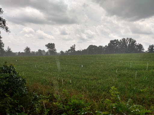 County Wide Park - Thumbnail
