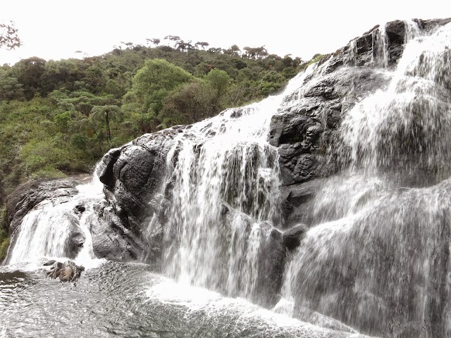 Horton Plains National Park