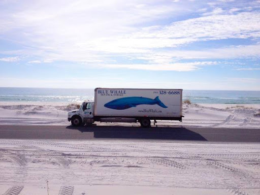 Blue Whale Moving Company - Austin - Thumbnail
