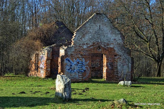 Ruiny obiektów obozowych, Author: Albin Marciniak