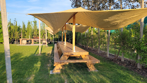 Parco "Medipark" - Visual