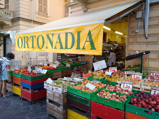Ortonadia 2, Lavagna - Thumbnail