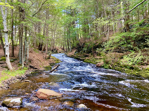 Grayville Falls Town Park