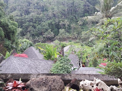 Photos of Ubud Padi Villas
