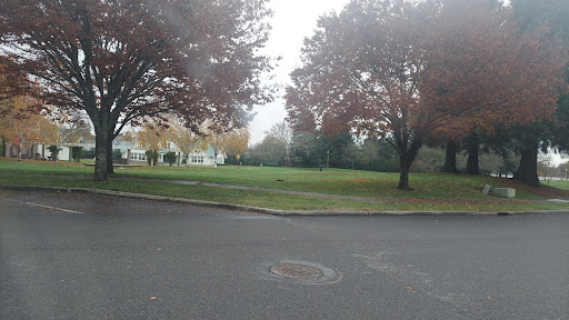 Clocktower Park - Visual