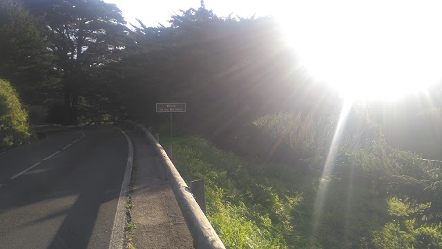 Anaga