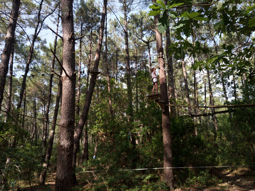 Landes Adventure Park - Thumbnail