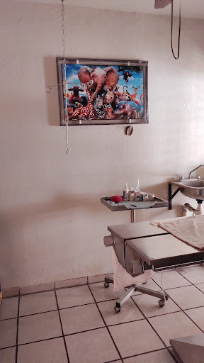 Clínica Veterinaria La Mascota - Thumbnail