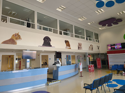 Hospital Veterinario UVM - Thumbnail