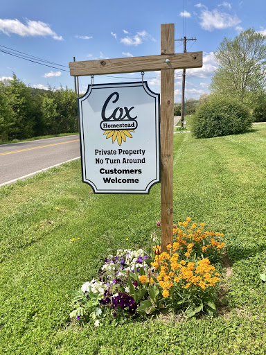 Cox Homestead - Thumbnail