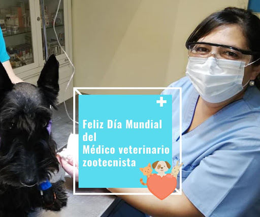Unidad de Cuidados Veterinarios