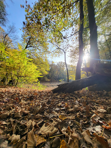 Waldkindergarten Ameisenhaufen - Thumbnail