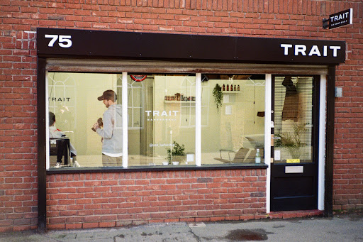 Trait Studio - Visual