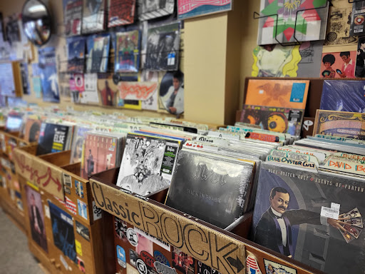 Record Collector - Visual