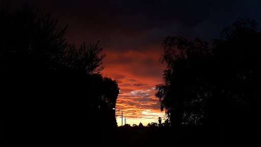Bideford Reserve - Thumbnail