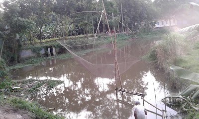 Photos of বাঘাইরামপুর জামে মাসজিদ