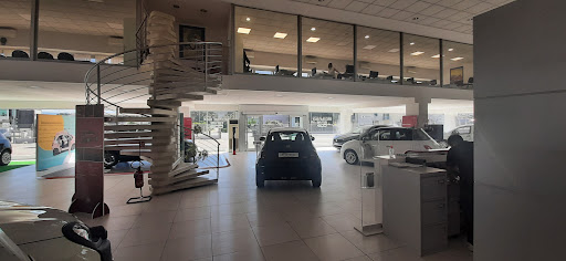 MARCHI AUTO - Visual