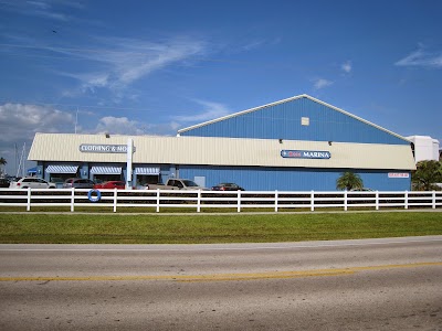 Photos of Rose Marina