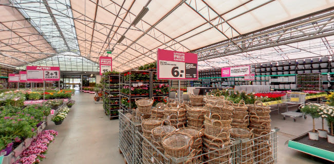 https://www.ranzijn.nl/winkels/aalsmeer?utm_source=google-places&utm_medium=organic&utm_campaign=google-places-ranzijn-aalsmeer