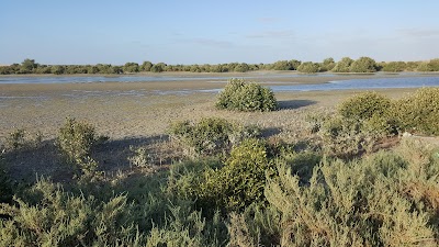Photos of بحيرة القرم ام القيوين