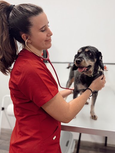 Hospital Veterinario Costa del Sol