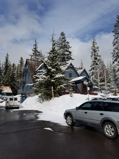 Govy General Store - Visual
