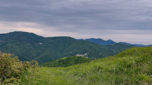Monte Proventino Gallery - Italy