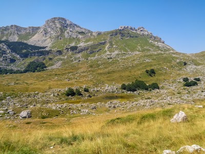Photos of Bar, schronisko