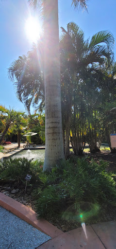 Palm Garden - Visual