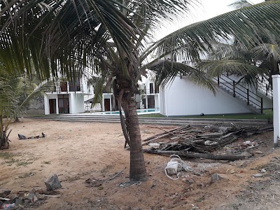 Photos of Arugambay Roccos