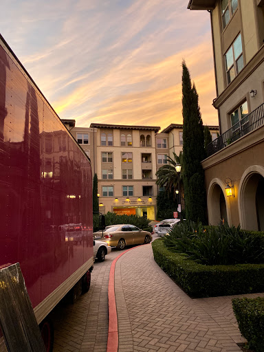 Magenta Moving Gallery - United States