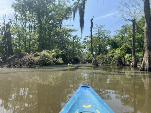 Honey Island Kayak Tours - Thumbnail