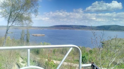 Photos of Srebarna Nature Reserve